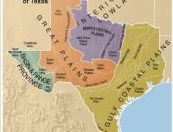 Texas Leather Furniture And Accessories Elevate Your Space