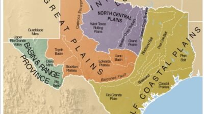 Texas Leather Furniture And Accessories Elevate Your Space