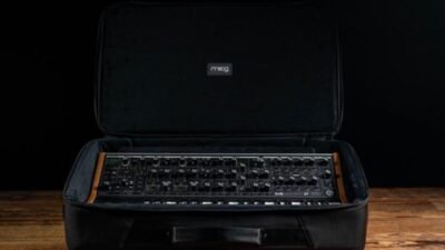 Moog Sound Studio Accessory Kit: solo los accesorios sin los sintes ...