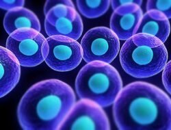 Cell Phone Accessories Wholesale Distributors In Usa