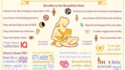 Advantages Of Breastfeeding For An Infant. Infographics. Vector ...